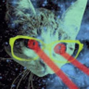 Meet your Posher, Dasha